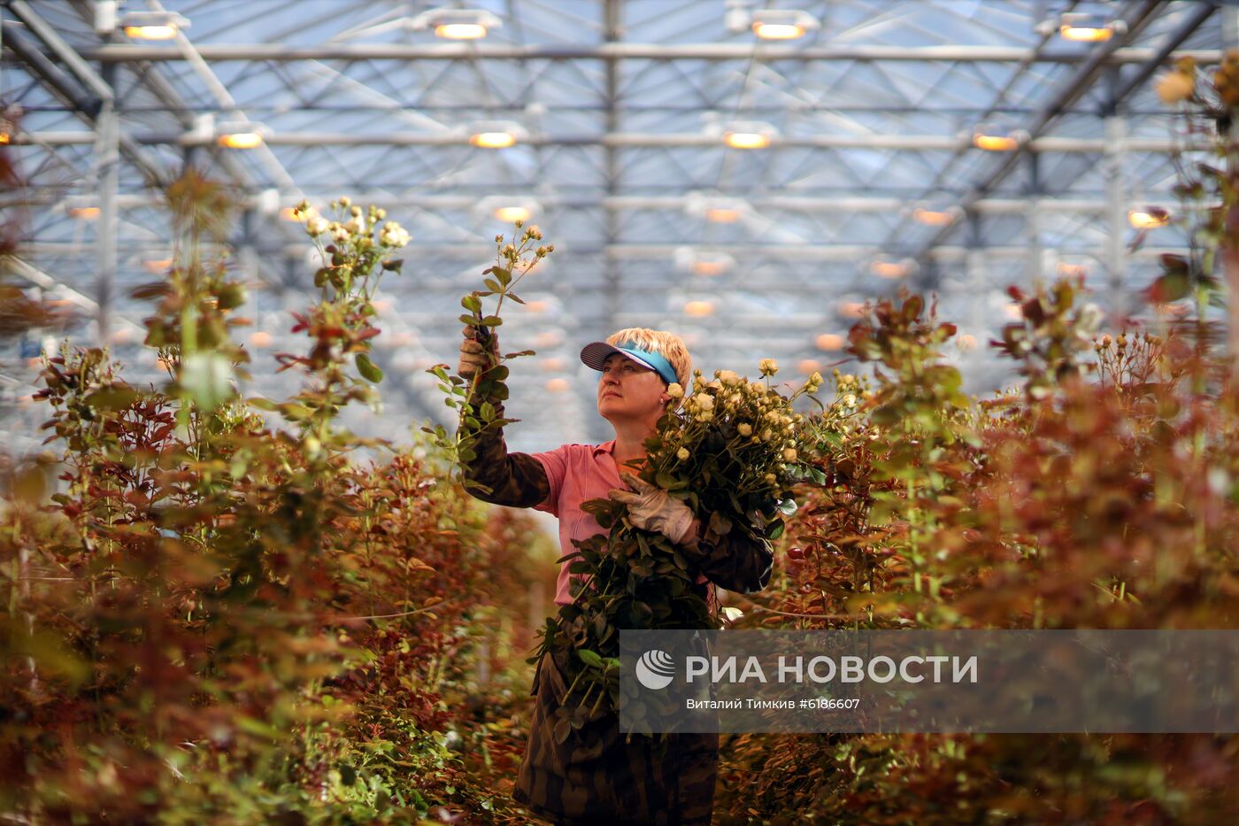 Тепличный комплекс "Зеленый Дом" в Адыгее