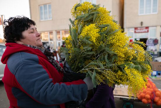 Продажа мимозы из Абхазии на российско-абхазской границе