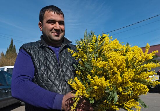 Продажа мимозы из Абхазии на российско-абхазской границе