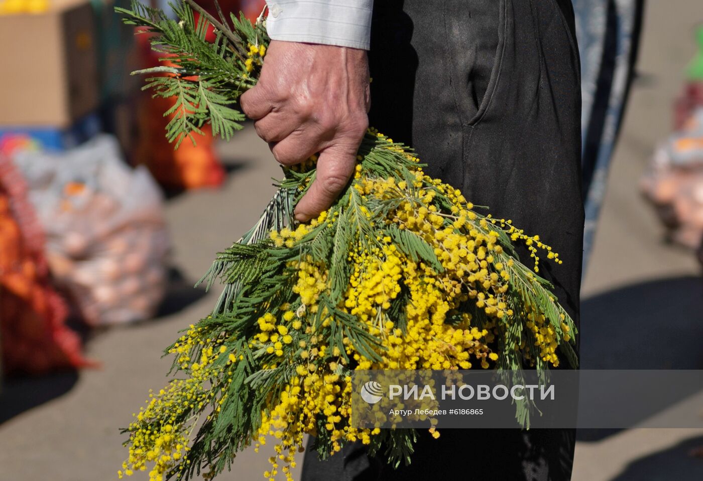 Продажа мимозы из Абхазии на российско-абхазской границе