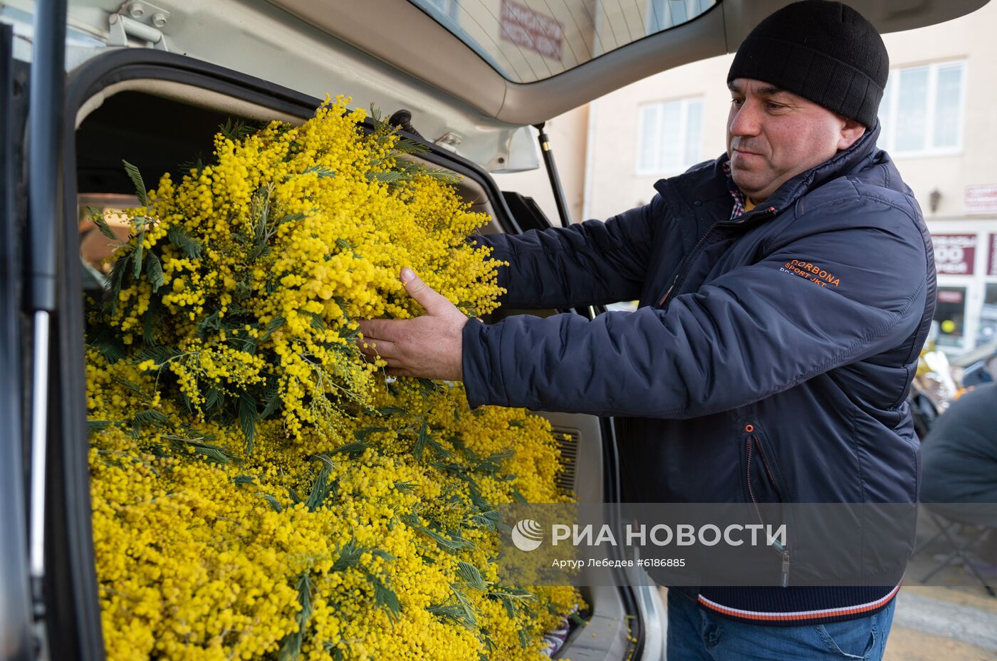 Продажа мимозы из Абхазии на российско-абхазской границе 