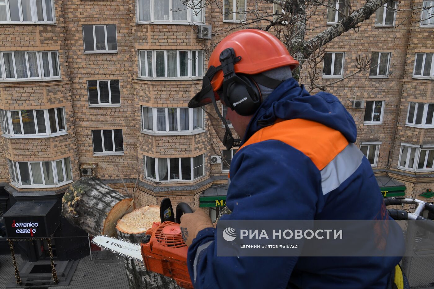 Обрезка тополей в Москве