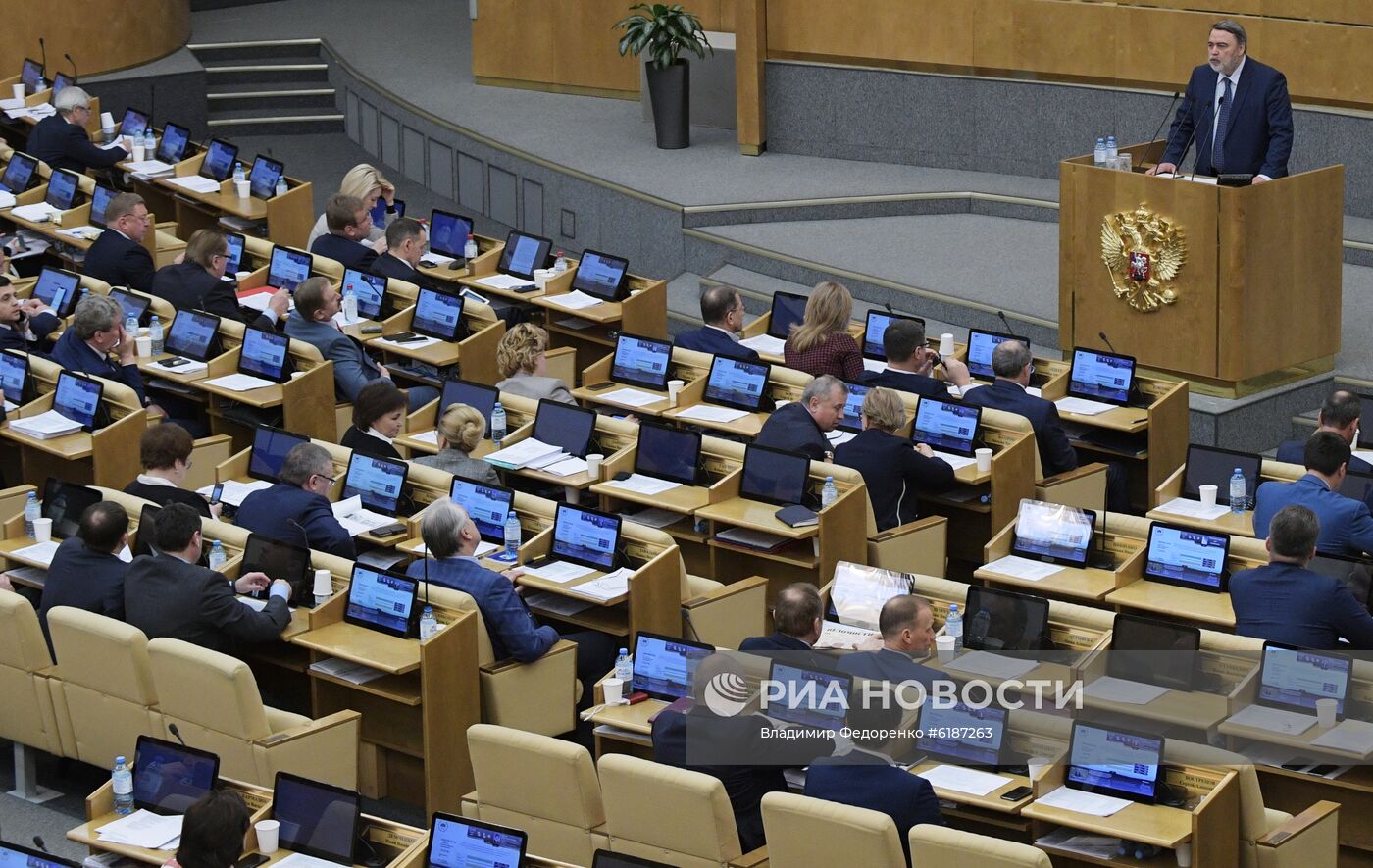 Пленарное заседание Госдумы РФ