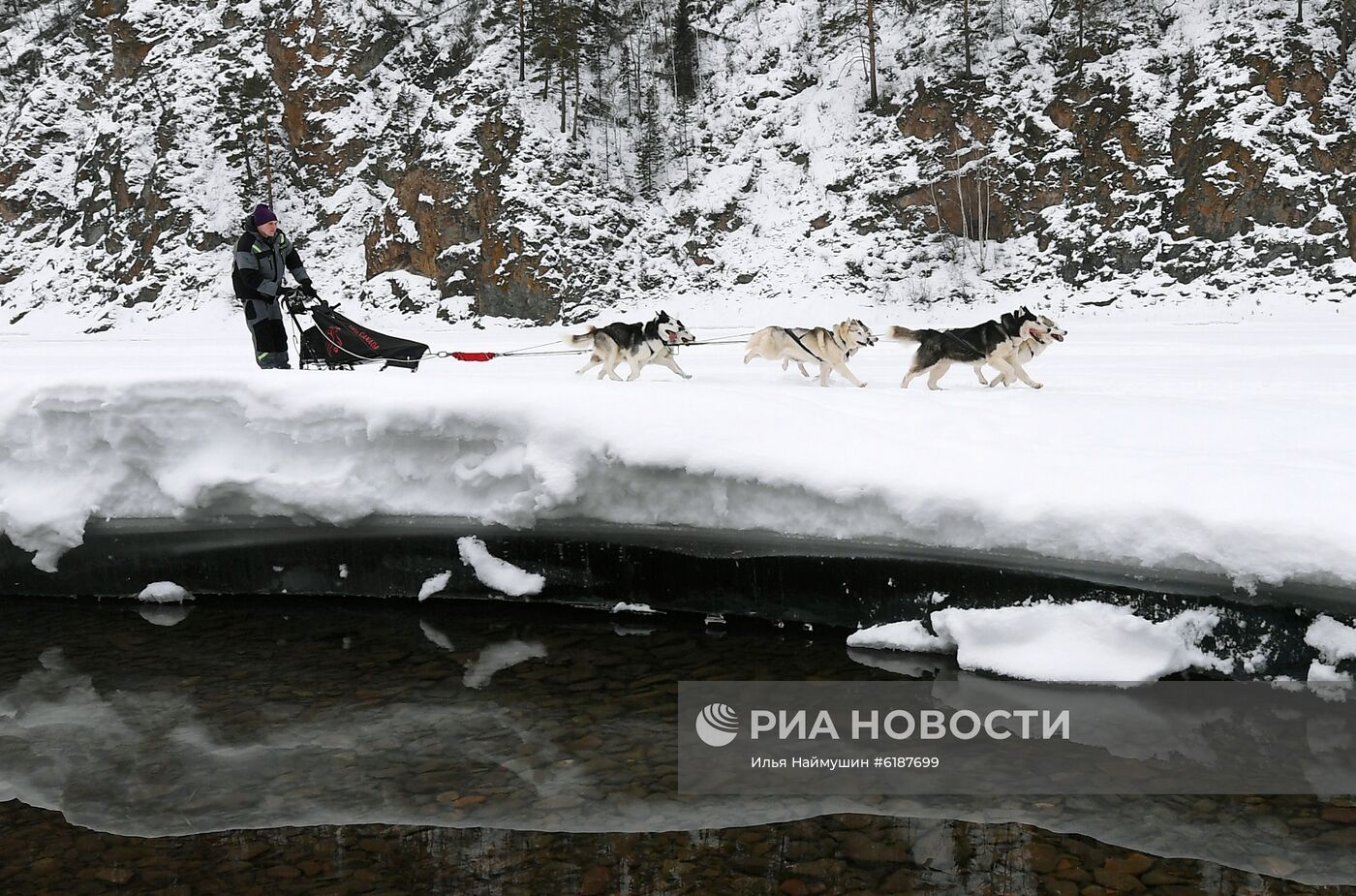 Гонки на собачьих упряжках в Красноярском крае