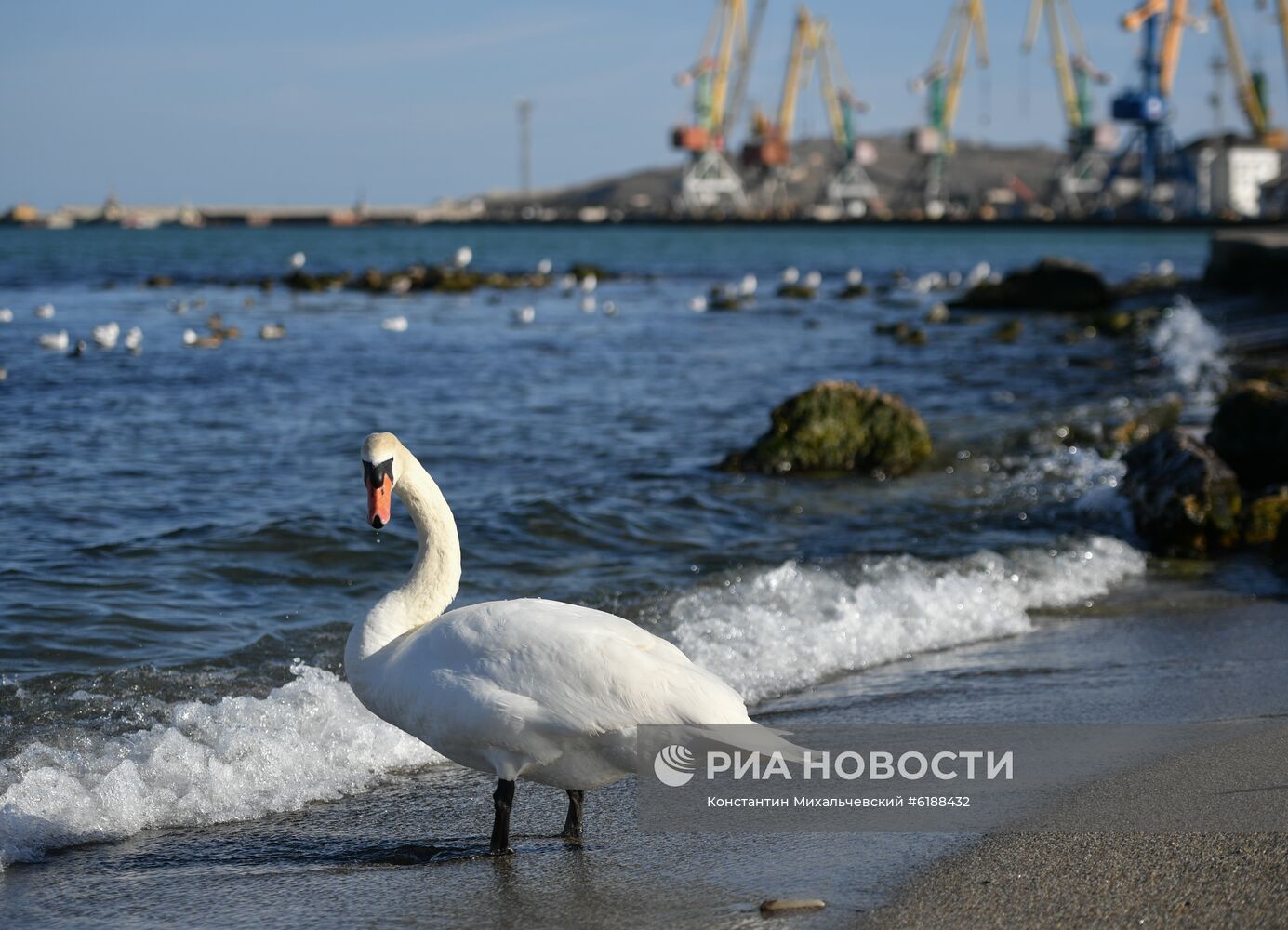 Города России. Феодосия