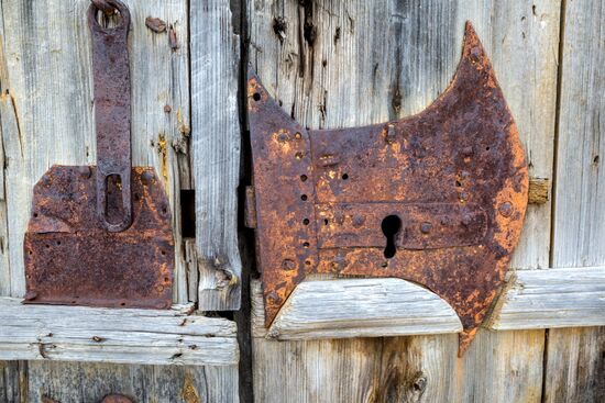 Регионы России. Вологодская область