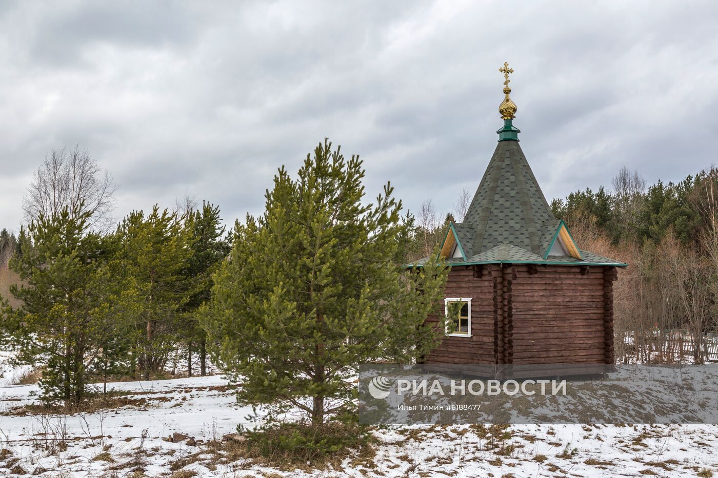 Регионы России. Вологодская область