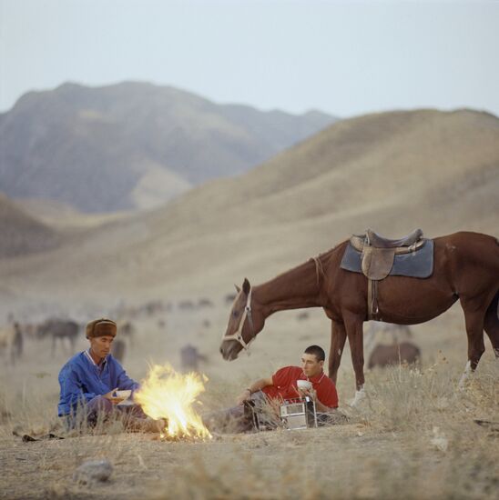 Горное пастбище Ашхабадского конного завода