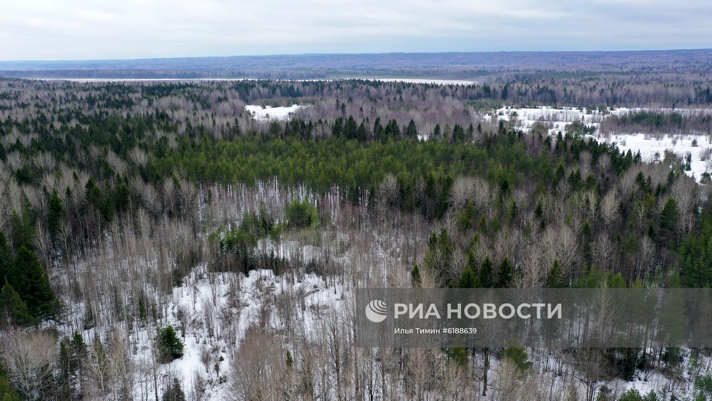 Регионы России. Вологодская область