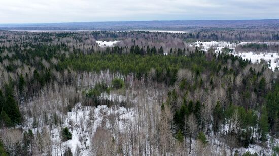 Регионы России. Вологодская область