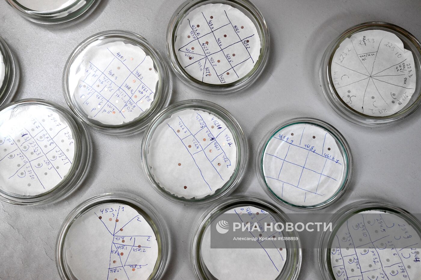 Институт химической биологии и фундаментальной медицины СО РАН