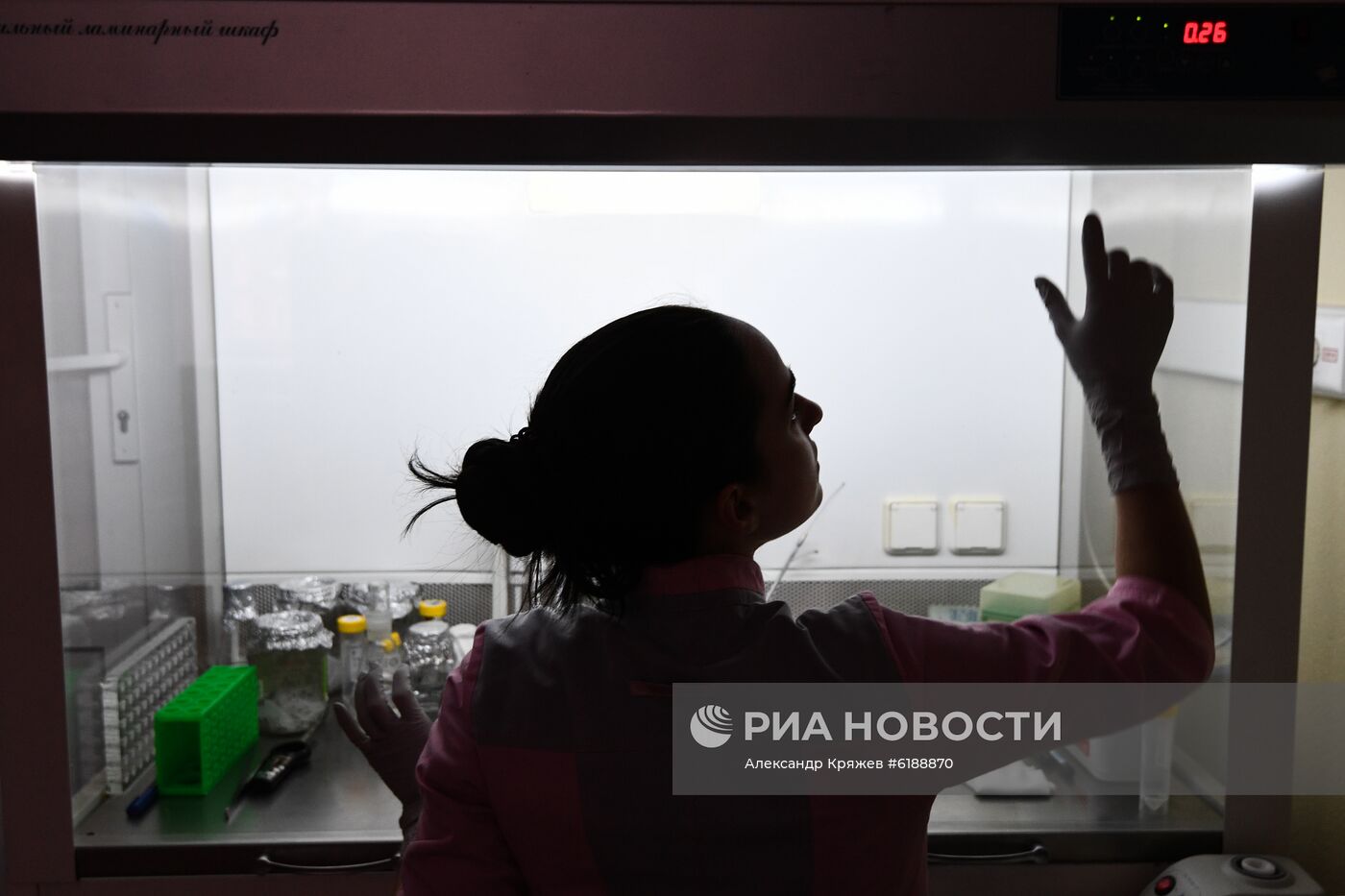 Институт химической биологии и фундаментальной медицины СО РАН