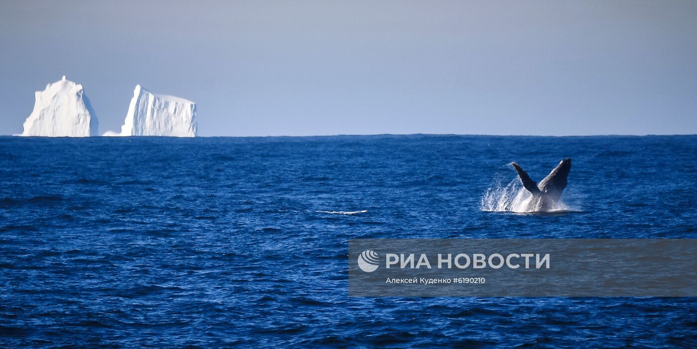 Кругосветная экспедиция на исследовательском судне "Адмирал Владимирский"