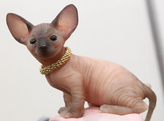 Международный весенний бал авторских кукол в Москве