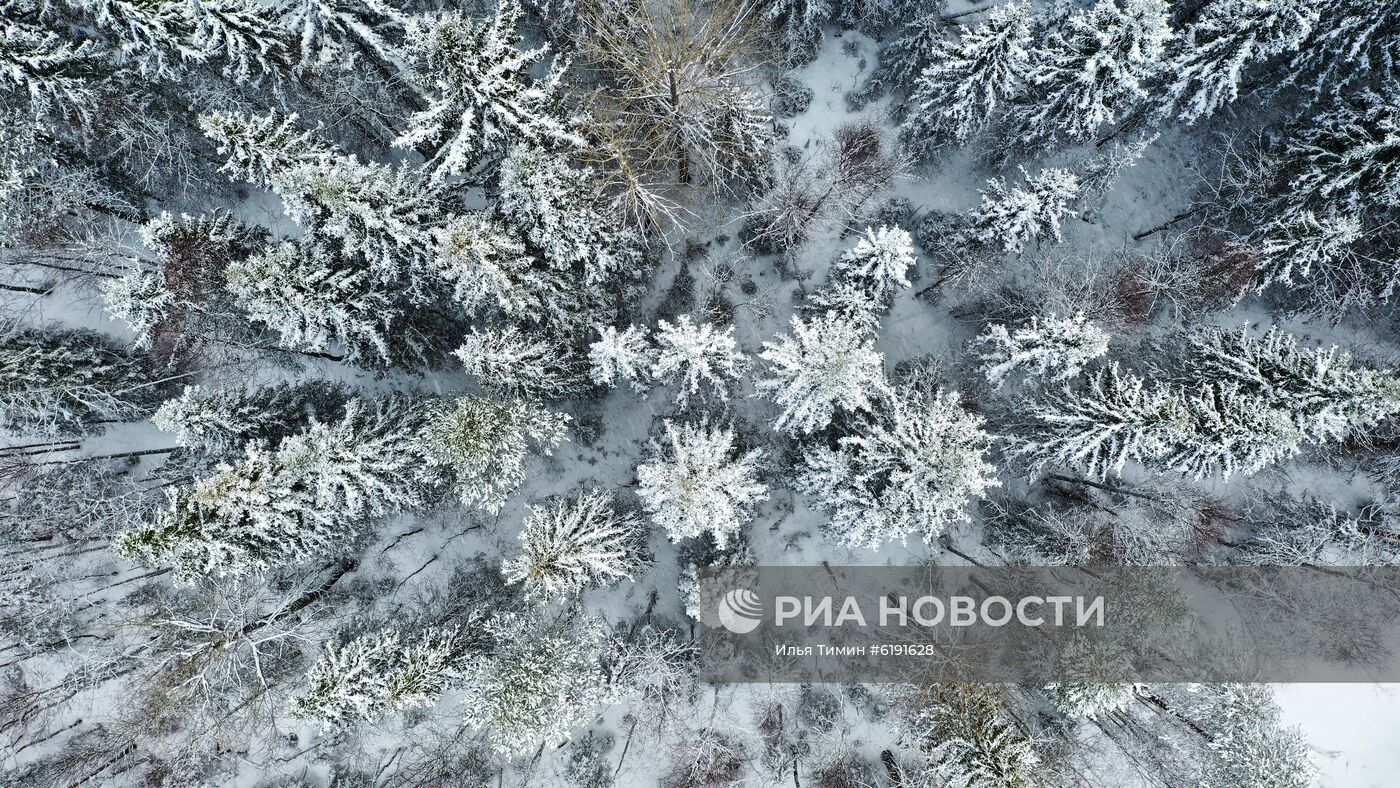 Регионы России. Карелия