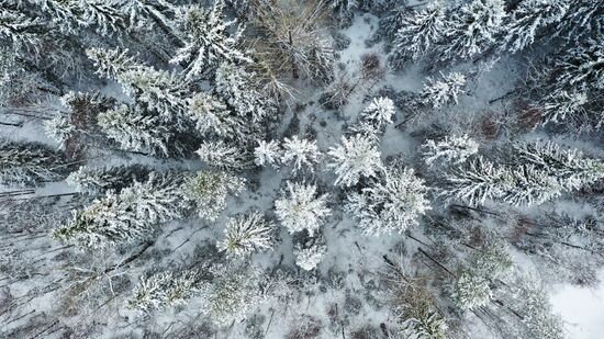 Регионы России. Карелия