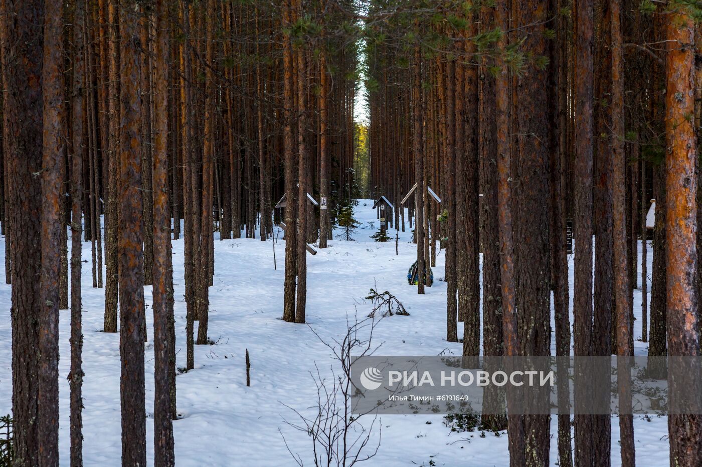 Регионы России. Карелия