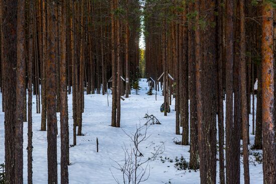 Регионы России. Карелия