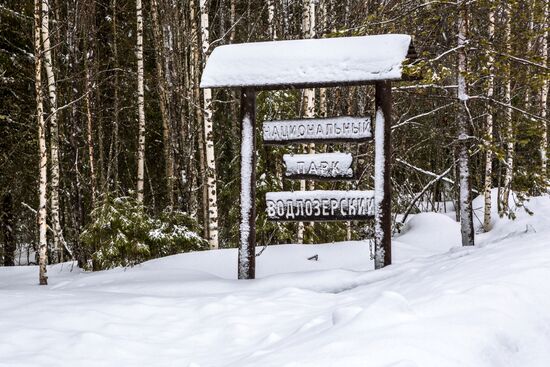 Регионы России. Карелия