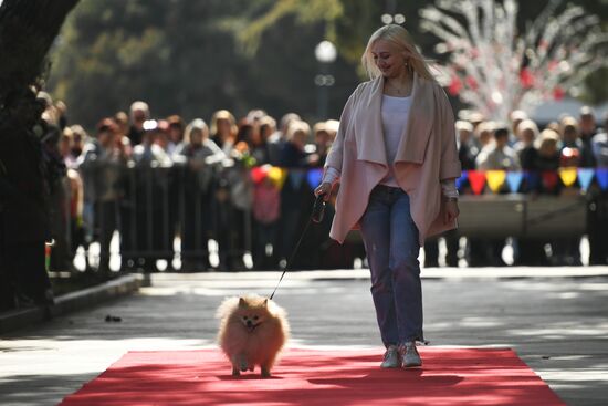 Фестиваль "Ялта - город 8 Марта"