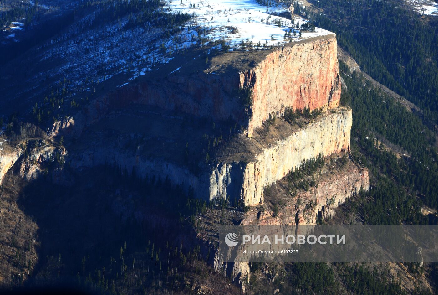 Подсчет зубров в Кавказском заповеднике 