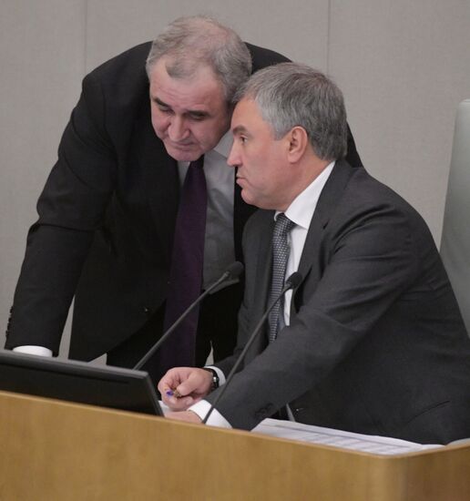 Пленарное заседание Госдумы РФ  