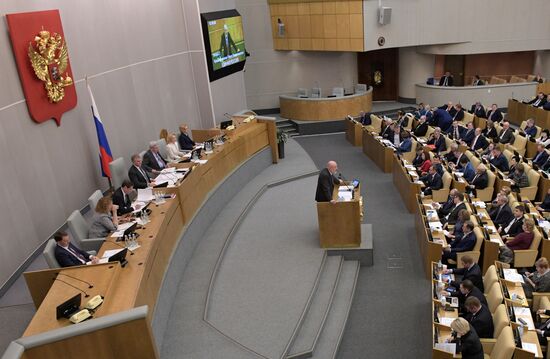 Пленарное заседание Госдумы РФ  