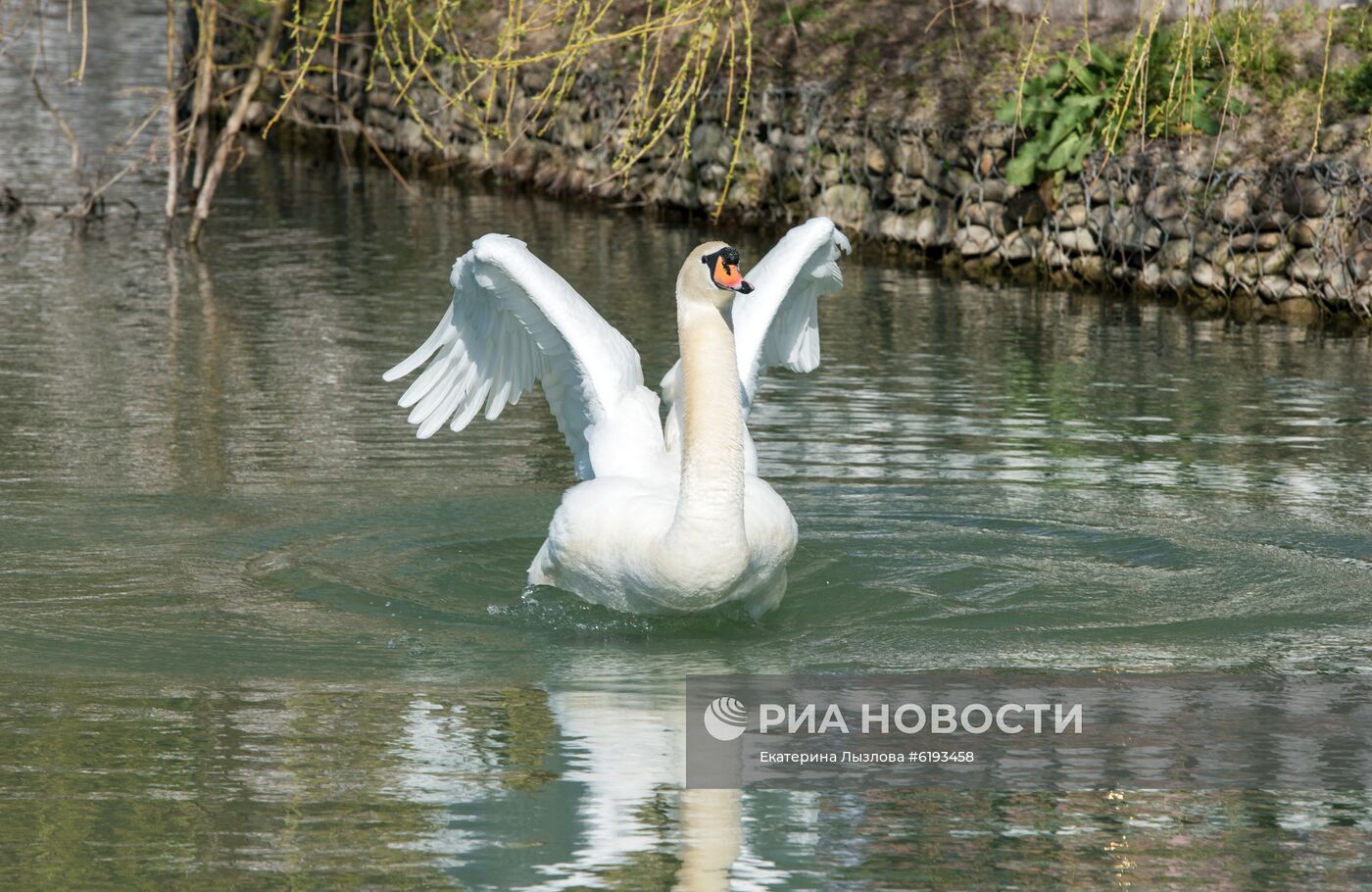Парк "Южные культуры" в Сочи