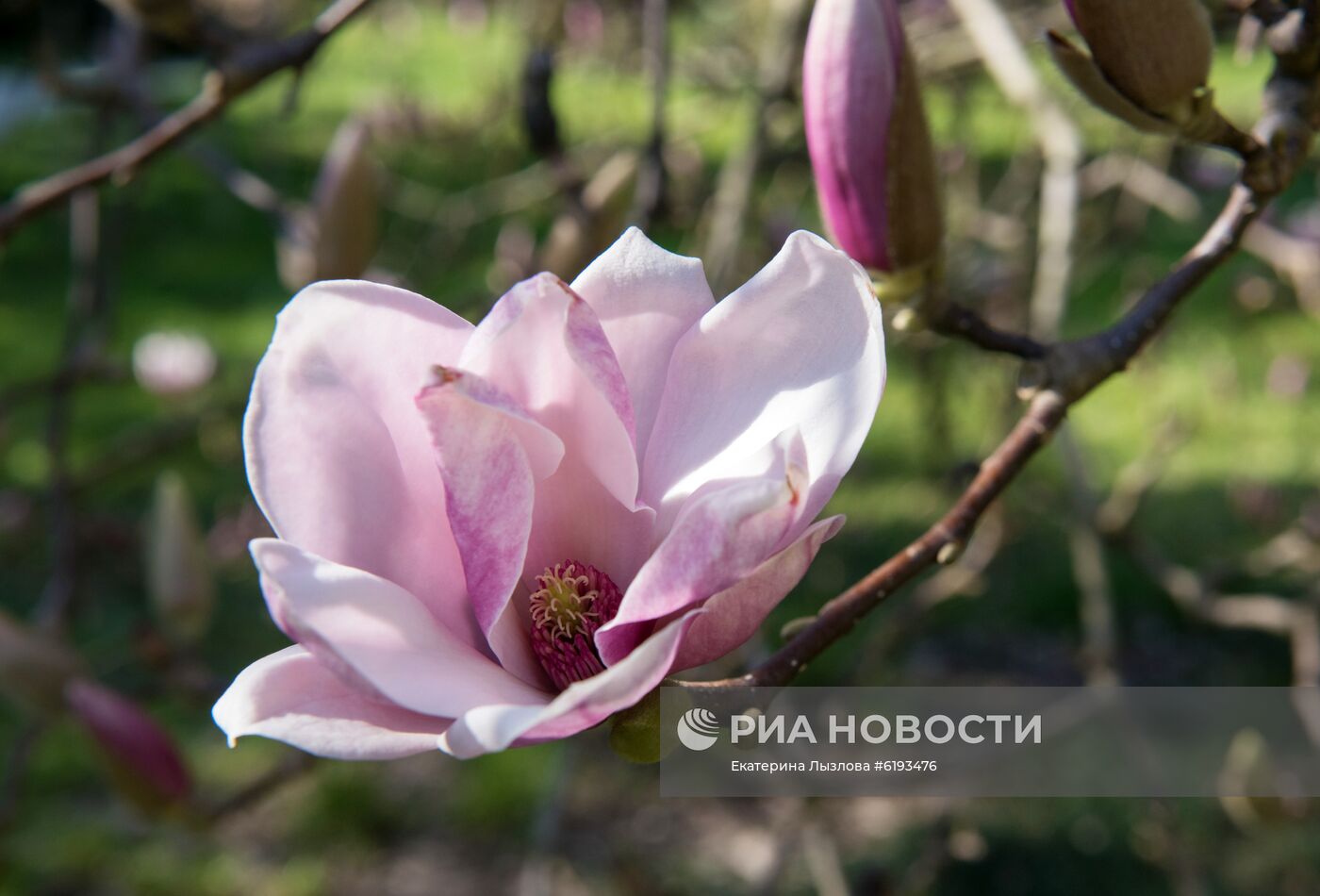Парк "Южные культуры" в Сочи