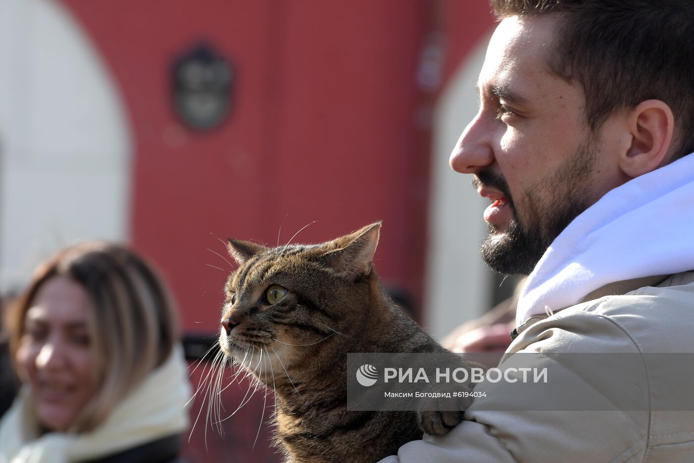 Знаменитый толстый кот Виктор и его хозяин Михаил Галин