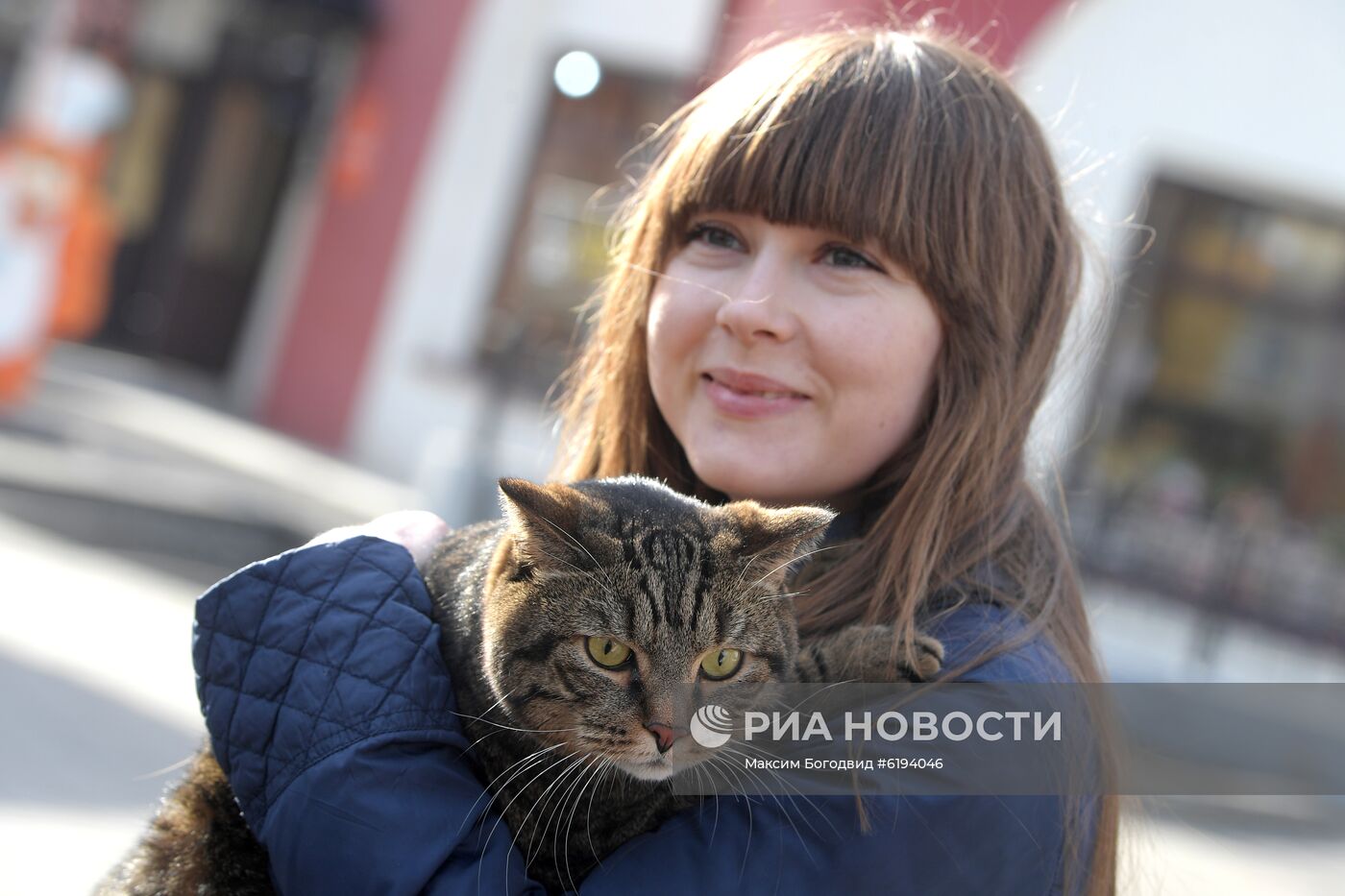 Знаменитый толстый кот Виктор и его хозяин Михаил Галин