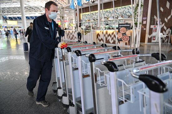 Санитарно-карантинный контроль в аэропорту Сочи