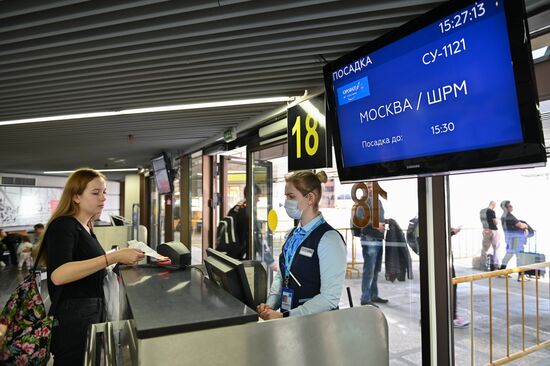 Санитарно-карантинный контроль в аэропорту Сочи