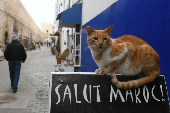 Страны мира. Марокко