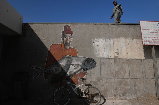 Страны мира. Марокко