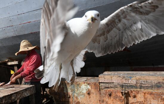 Страны мира. Марокко