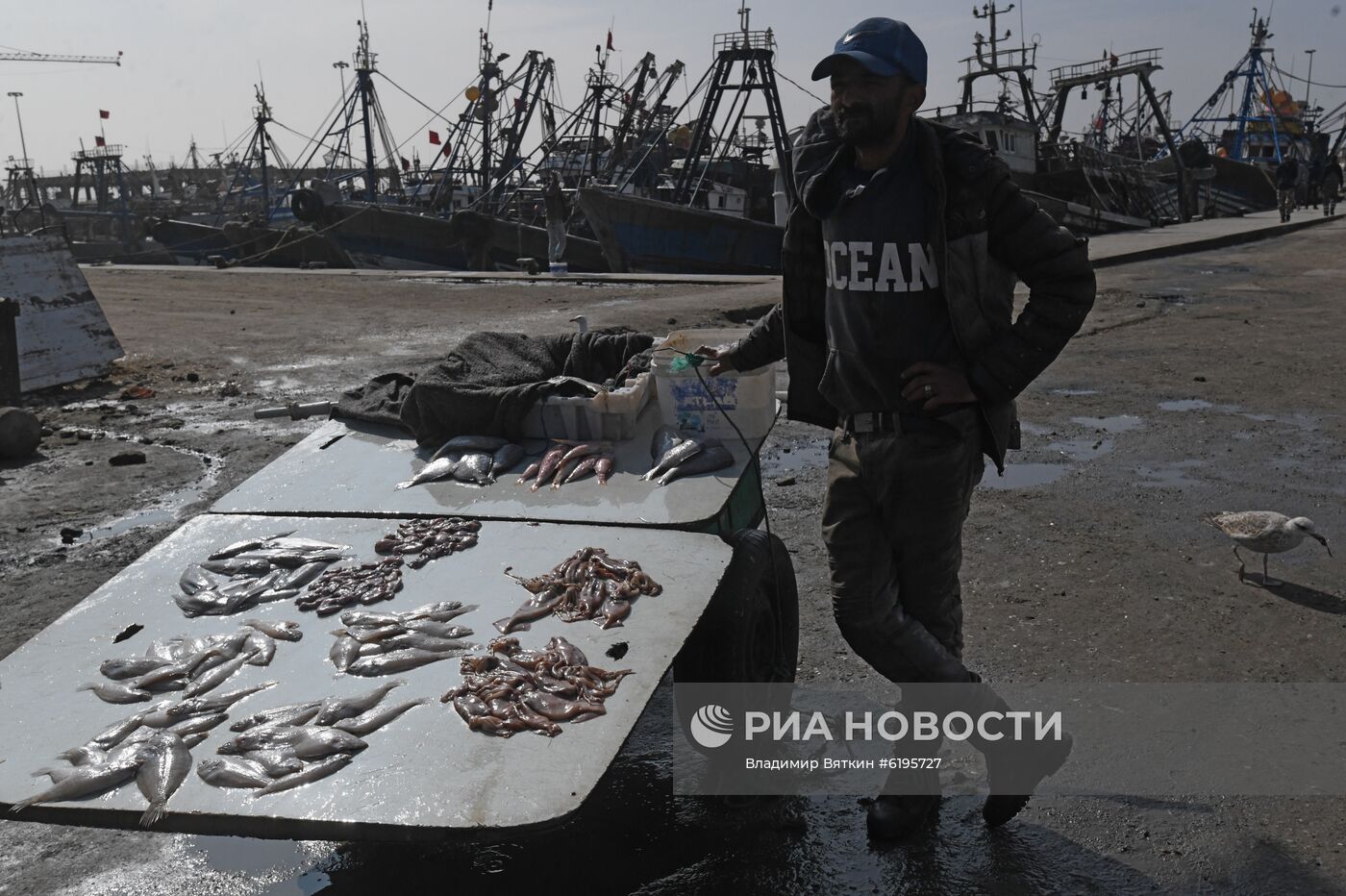 Страны мира. Марокко