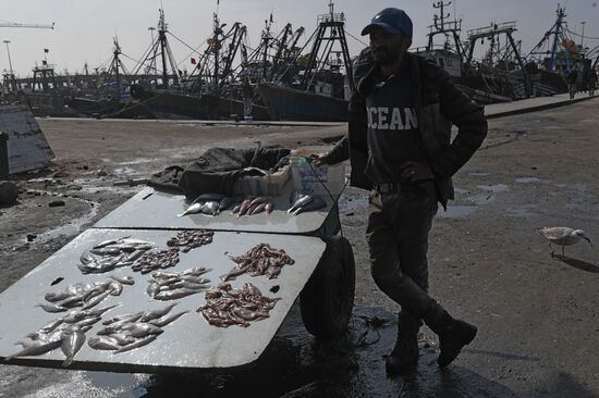 Страны мира. Марокко