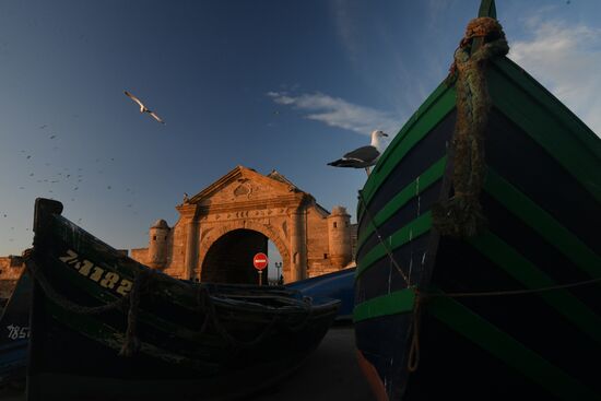 Страны мира. Марокко