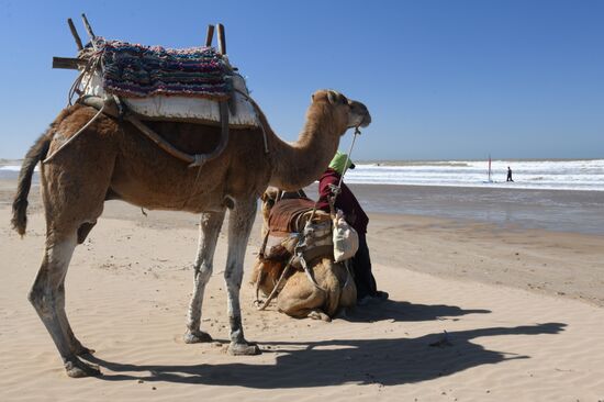 Страны мира. Марокко