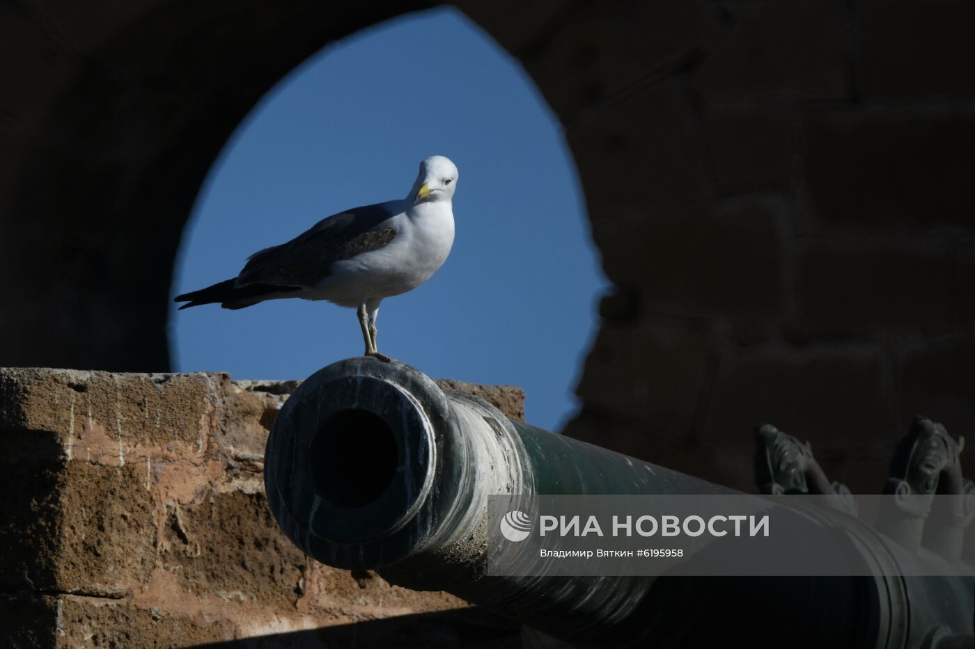 Страны мира. Марокко