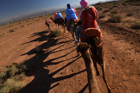 Страны мира. Марокко