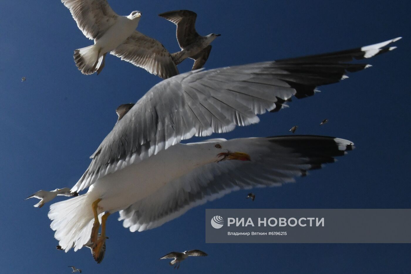 Страны мира. Марокко