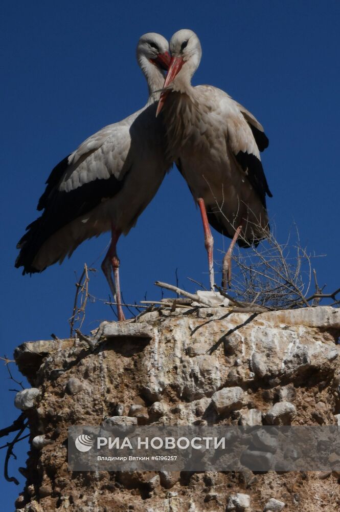 Страны мира. Марокко