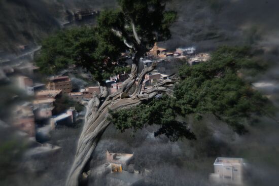 Страны мира. Марокко