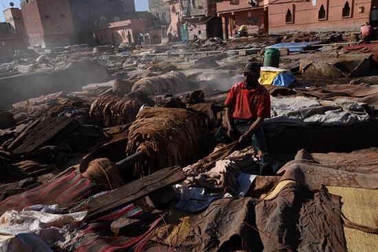 Страны мира. Марокко