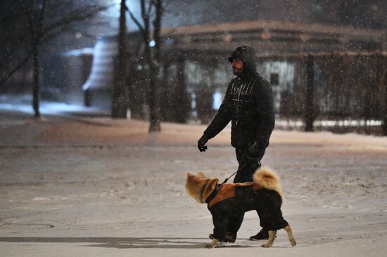 Снег в Москве и Подмосковье