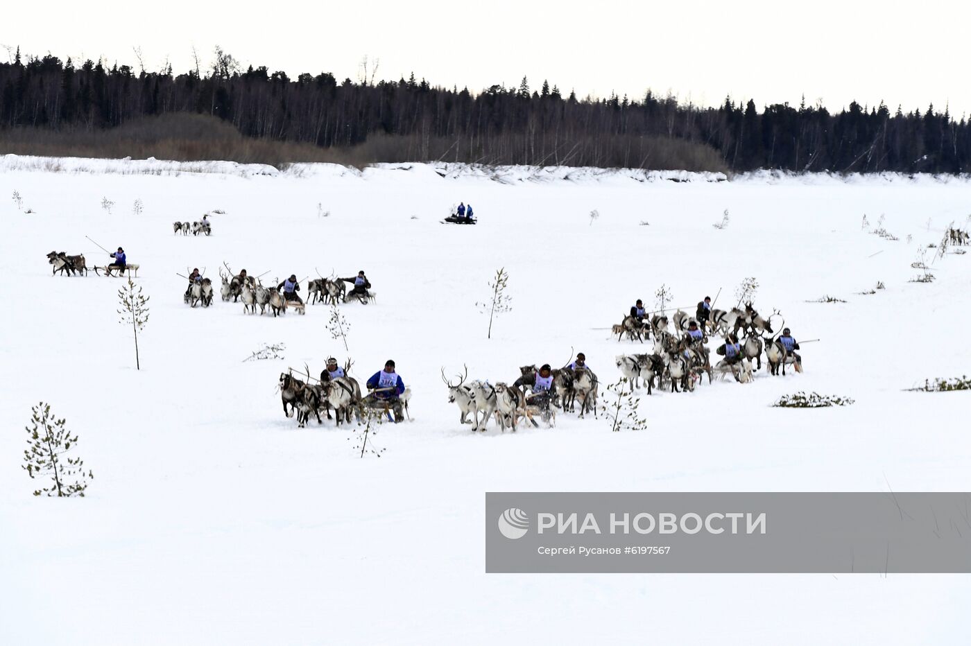 "День оленевода" на Ямале