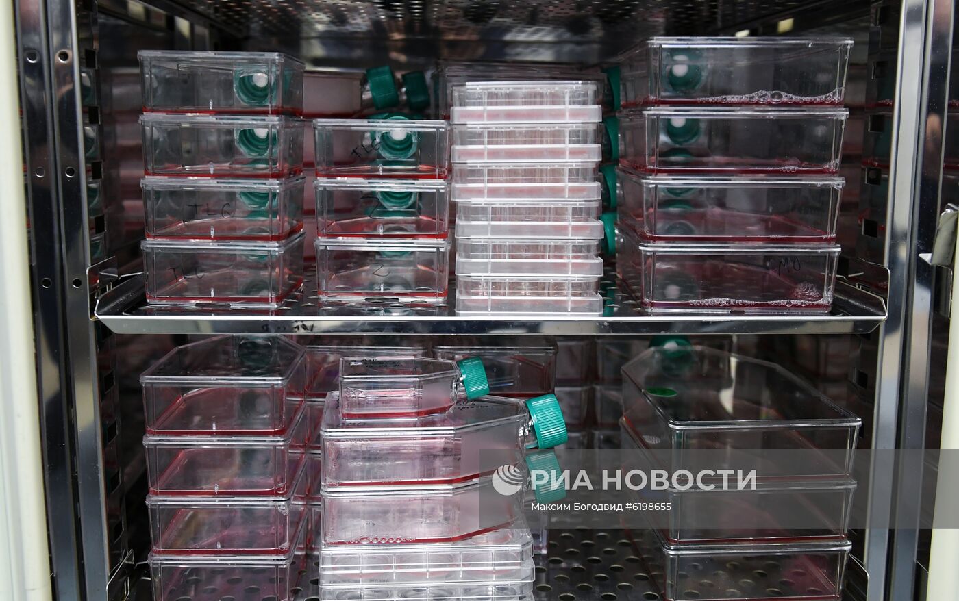 В Казани запустили проект по разработке вакцины от коронавируса