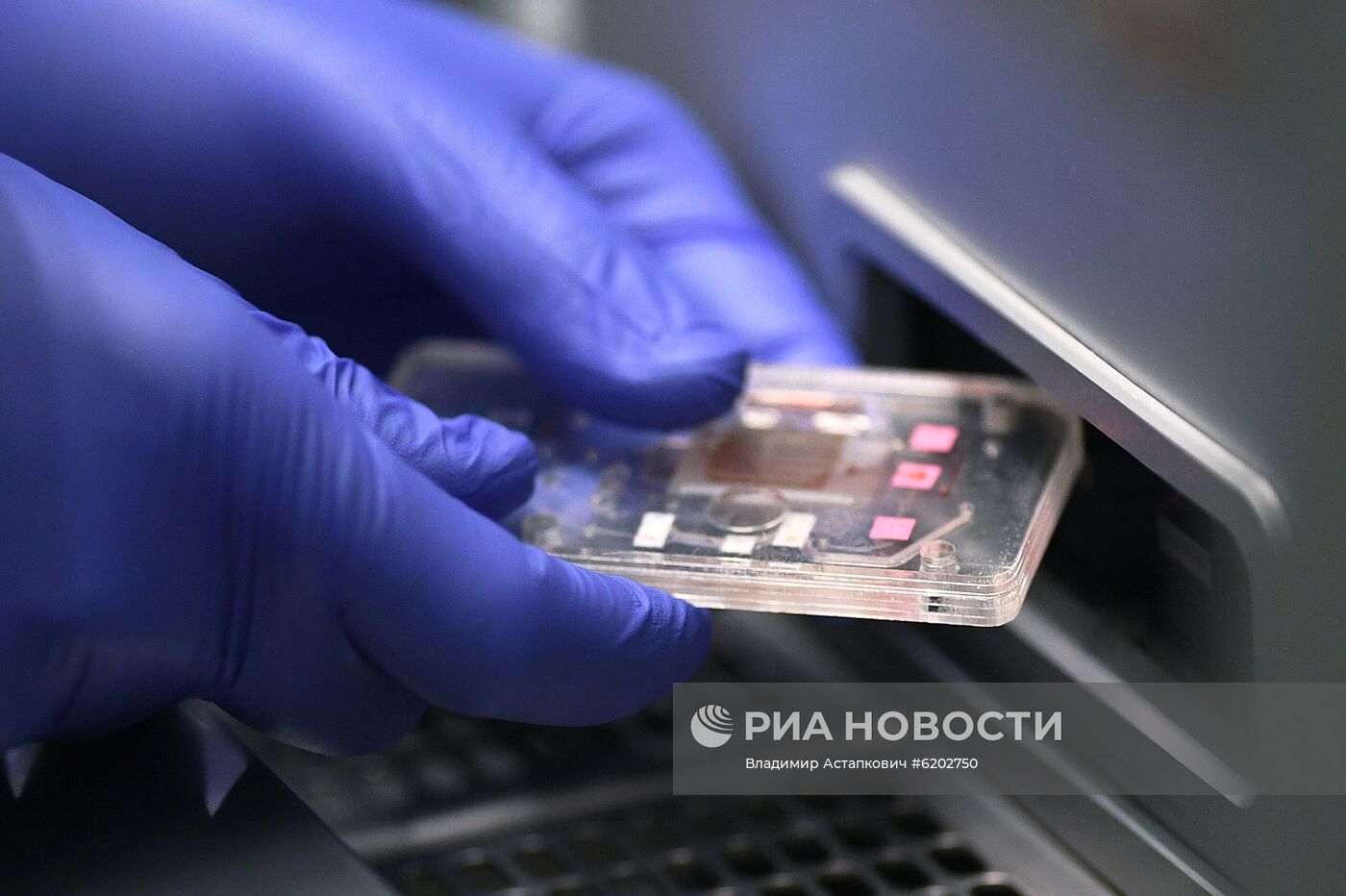 Демонстрация диагностики для обнаружения коронавируса центром ФМБА России